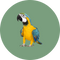 Vogels