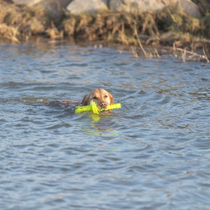Trixie Dog Activity Mot-Aqua Apporteer Dobber Limegroen