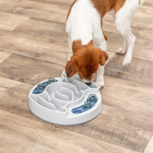 Trixie Dog Activity Slide & Feed