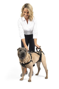 Solvit Petsafe Carelift Voor En Achter