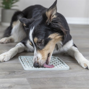Trixie Lick'n'snack Mat Siliconen Lichtgrijs