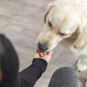 Trixie Bakmat Met Botjes Voor Hond Silicone