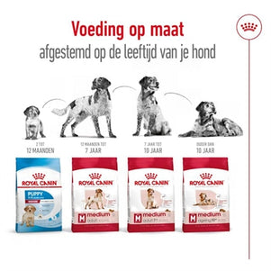 Royal Canin Medium Adult