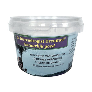 Dierendrogist Resorptie Van Vruchtjes Foetale Resorptie