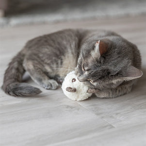 Trixie Beer Met Catnip Pluche Assorti