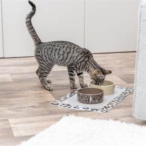 Trixie Voerbak / Drinkbak Leo Kat Keramiek Panterprint Assorti