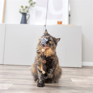 Trixie Kattenhengel Ster Pluche Met Kattenkruid / Catnip