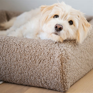 Bia Bed Premium Hoes Teddy Beige