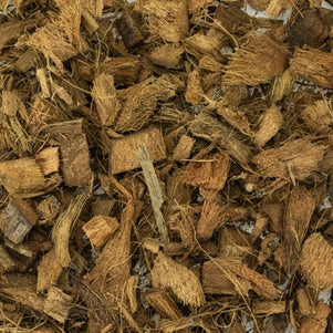 Back Zoo Nature Discovery Bedding