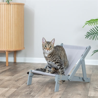 Trixie Strandstoel Hout Grijs